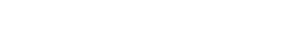 S-FiDE