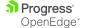 Progress OpenEdge